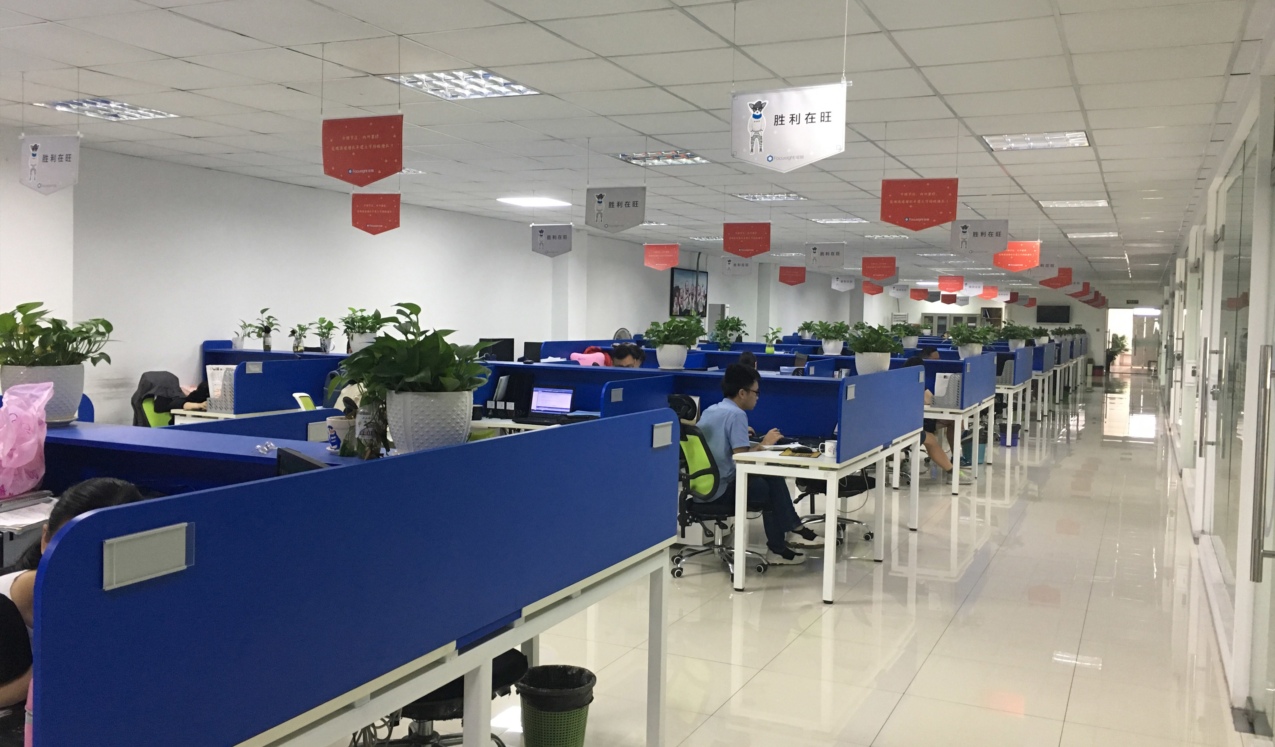 Cina Focusight Technology Co.,Ltd Profilo Aziendale